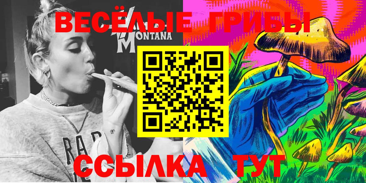 Псилоцибиновые грибы Cubensis Елизово