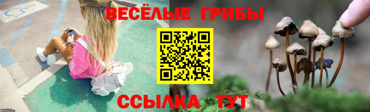 Елизово  Галлюциногенные грибы Psilocybe  Вход с VPN 